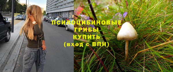 гидропоника Арсеньев
