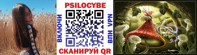 Галлюциногенные грибы Psilocybe  наркошоп  darknet состав  Санкт-Петербург 