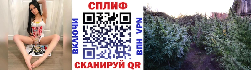 Бошки марихуана AK-47 Санкт-Петербург
