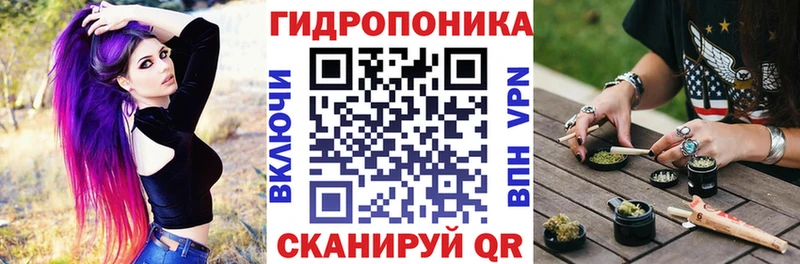 где можно купить   Санкт-Петербург  Бошки Шишки планчик 